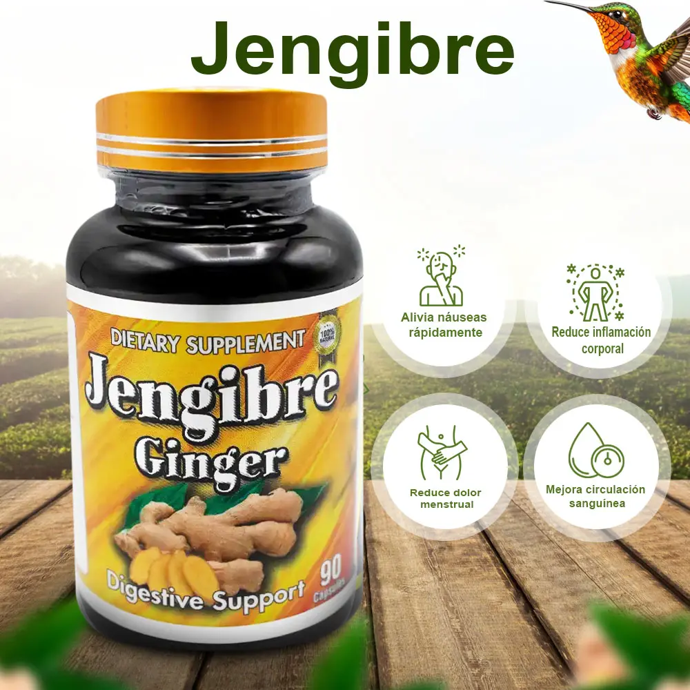 Ginger Suplementos El Colibri